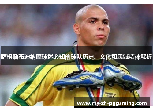 萨格勒布迪纳摩球迷必知的球队历史、文化和忠诚精神解析