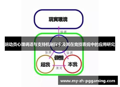 运动员心理调适与支持机制探索及其在竞技表现中的应用研究