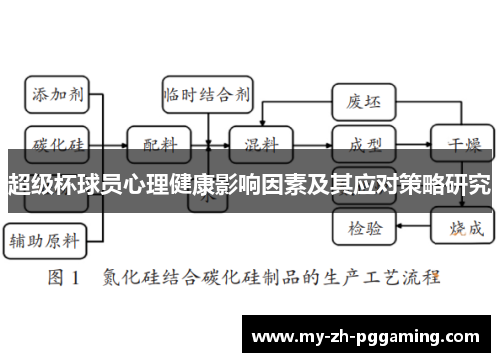超级杯球员心理健康影响因素及其应对策略研究
