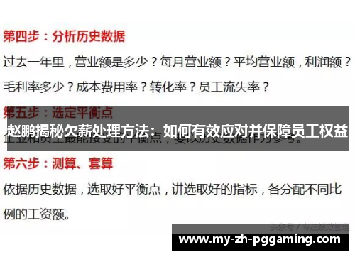 赵鹏揭秘欠薪处理方法:如何有效应对并保障员工权益 赵鹏揭秘欠薪处理方法:如何有效应对并保障员工权益
