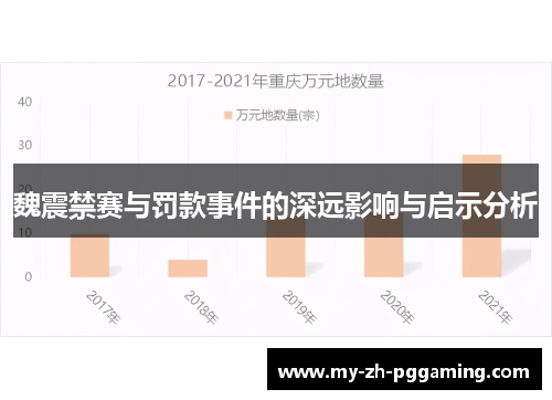 魏震禁赛与罚款事件的深远影响与启示分析